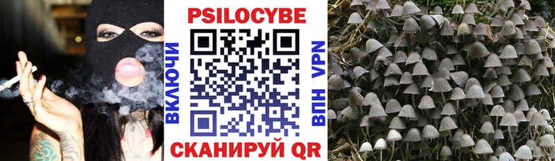Галлюциногенные грибы мухоморы где купить наркоту Светлоград